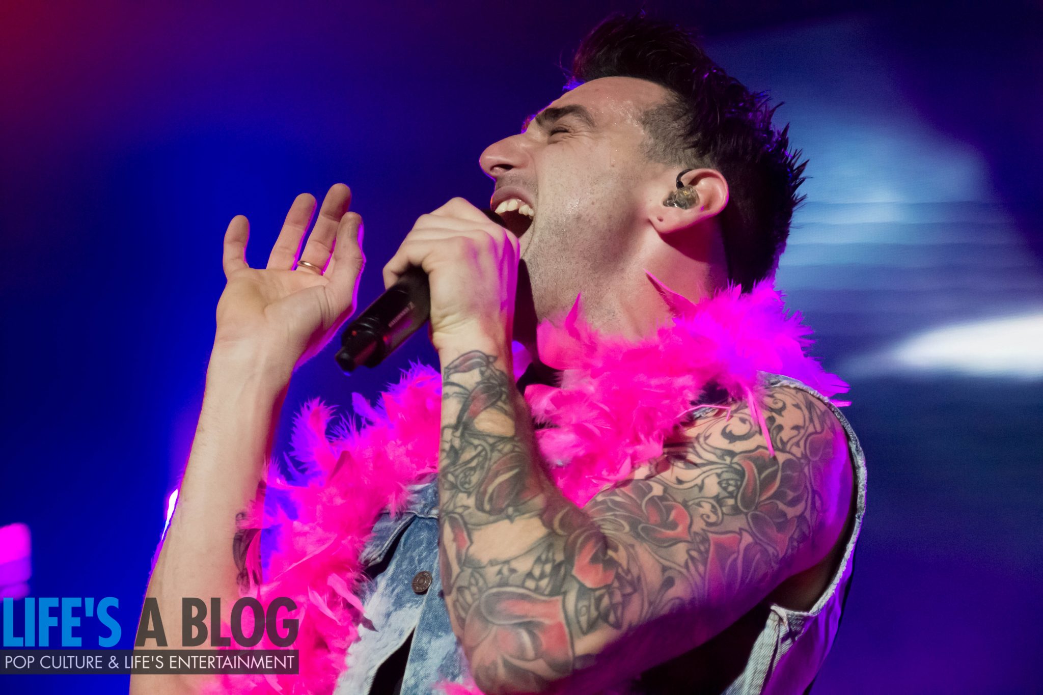 F*** that!  If You Can Do Anything, Check Out Hedley’s Wild Live Tour